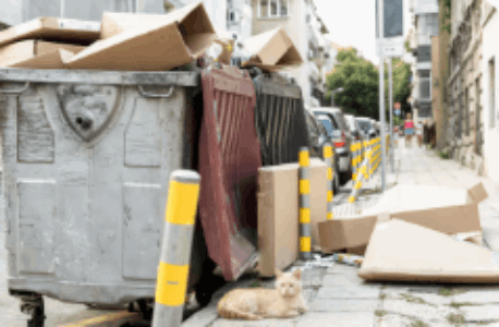Bin-Skip-Waste-Murray-Bridge