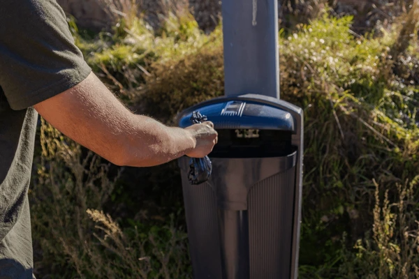 codifyformatter 2026 01 29T145330.789