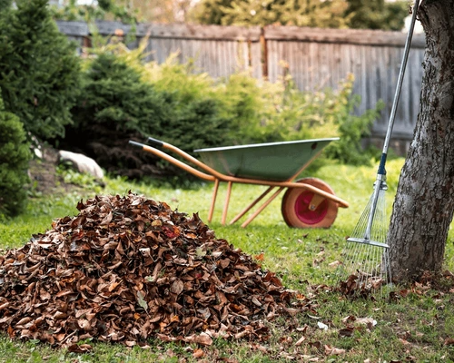 codifyformatter - 2026-03-23T103811.411