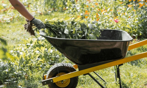 codifyformatter - 2026-03-23T103830.195