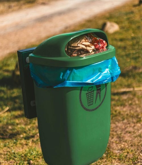 pexels-arlindphotography-31312118