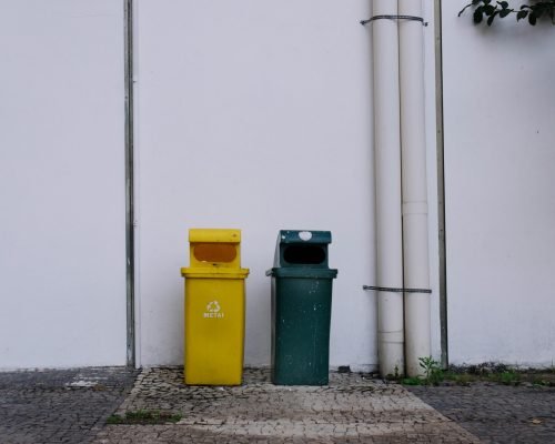 pexels-cadu-mello-1882954-8795754