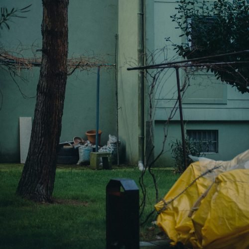 pexels-ferasin-yilmaz-er-42373189-10883129