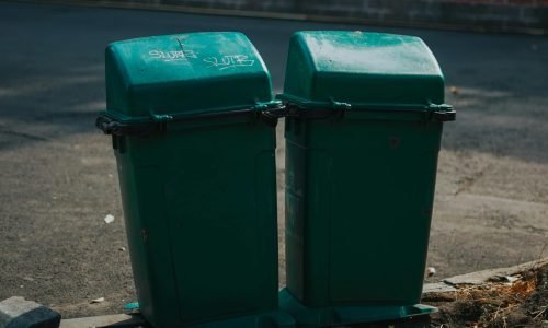 pexels-phamnghia-6590242