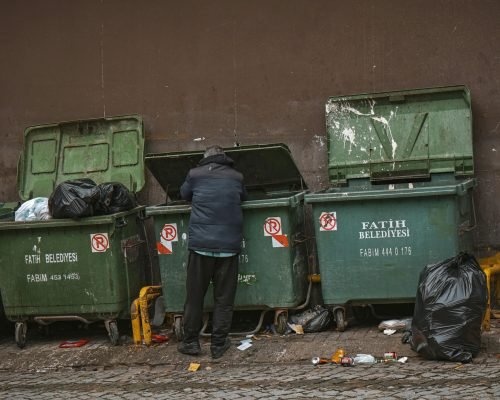 pexels-serdar-balpetek-1407062-30185215