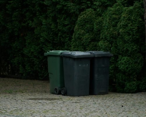 pexels-titas-kunigelis-471591952-15747225