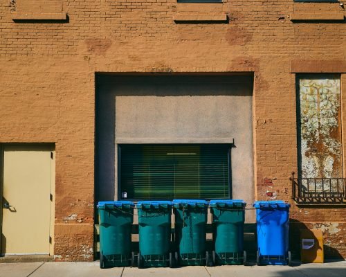 pexels-yeager-anderson-486659266-34317815